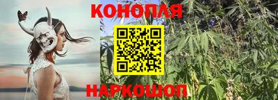 наркотики Краснознаменск