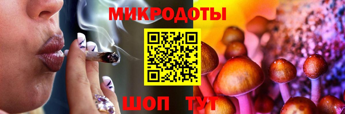 Галлюциногенные грибы Psilocybine cubensis Донской